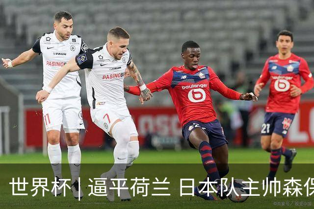 世界杯 | 逼平荷兰 日本队主帅森保一仍不满意
